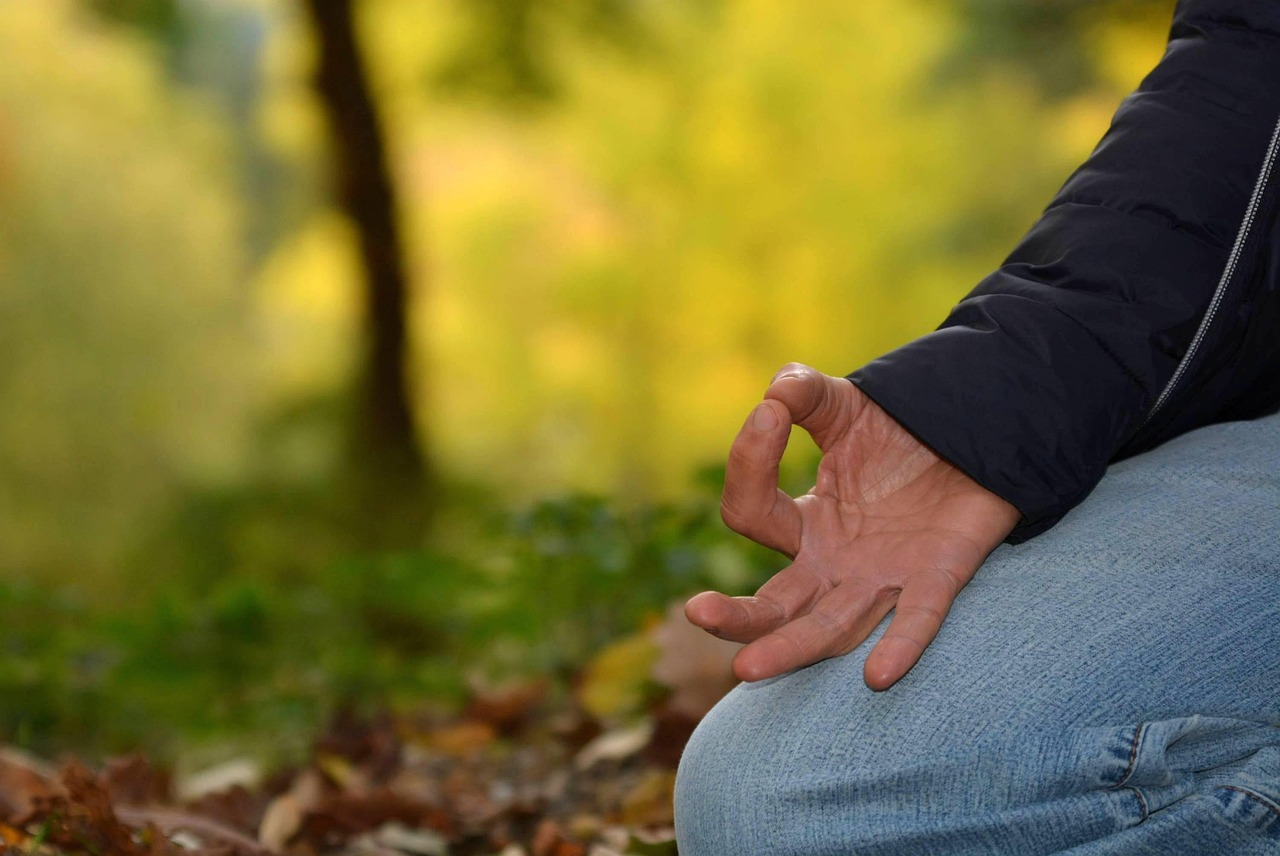 Introduzioni alla meditazione zazen