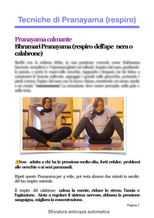 Scheda 2026 Tecniche di Pranayama vol2