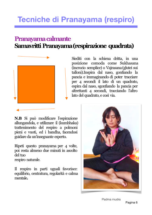 Scheda 2026 Tecniche di Pranayama vol2