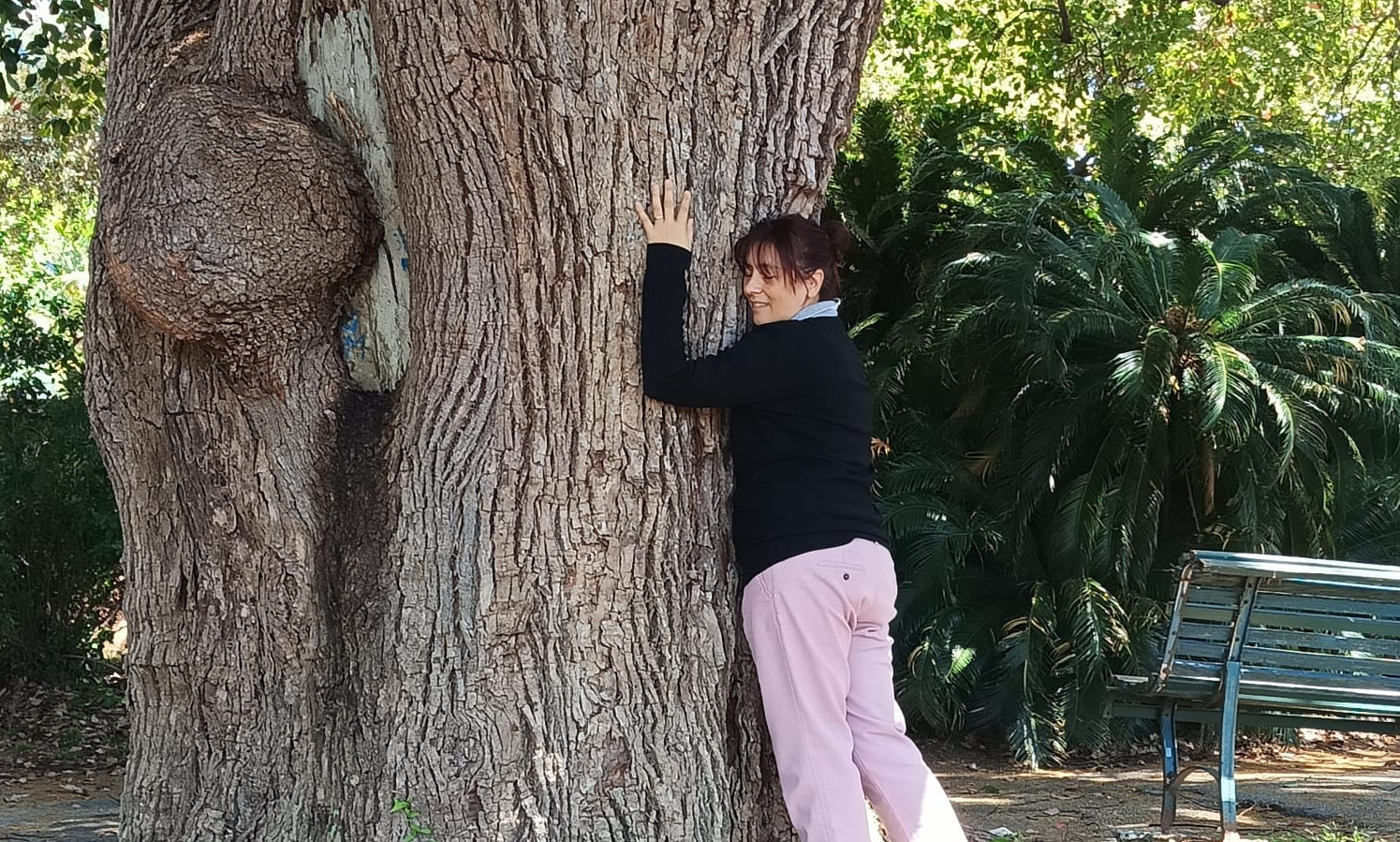 Radici nel Verde: Meditazione Camminata, Abbraccio all’Albero e il Risveglio del Primo e Quarto Chakra